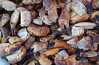 Raw seafood, crab. Free public domain CC0 image