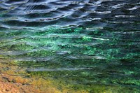 Green sea waves close up. Free public domain CC0 photo.