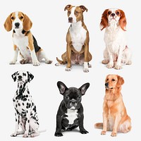 Dogs sitting, animal sticker set psd