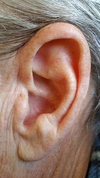 Senior person's ear. Free public domain CC0 photo.