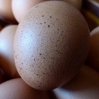 Eggs. Free public domain CC0 image