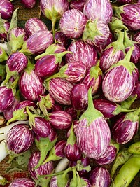 Pile of small purple brinjal. Free public domain CC0 image.