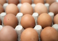 Raw eggs, high protein food. Free public domain CC0 photo