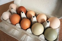 Raw eggs, high protein food. Free public domain CC0 photo