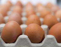 Raw eggs, high protein food. Free public domain CC0 photo