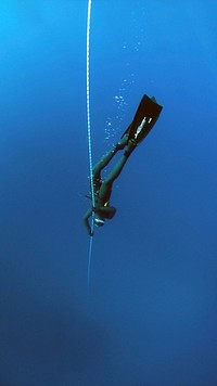 Free scuba diving public domain CC0 photo.