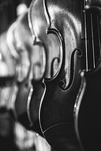 Free violin image, public domain musical instrument CC0 photo.