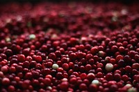 Free cranberry image, public domain food CC0 photo.