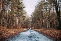 Free autumn fall road with orange leaves photo, public domain nature CC0 image.