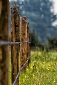 Barbed wire fence, security protection. Free public domain CC0 image