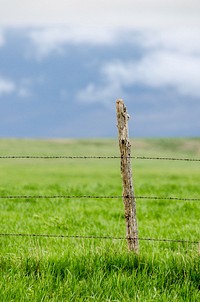 Agricultural farm land. Free public domain CC0 photo