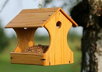 Cute bird house and feeder. Free public domain CC0 photo.