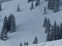 Snow covered trees on mountain. Free public domain CC0 image.