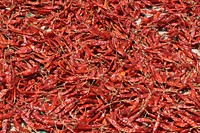 Dried red chili. Free public domain CC0 photo