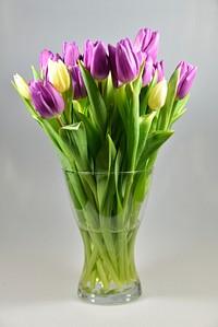 Tulip arrangement background. Free public domain CC0 image.