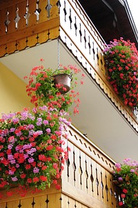 Flowers at balconies. Free public domain CC0 photo.