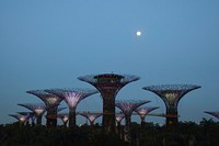 Garden Rhapsody, Singapore. Free public domain CC0 photo.