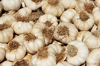 Fresh garlic, farm produce. Free public domain CC0 image