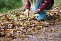 Girl picking chestnuts. Free public domain CC0 photo.