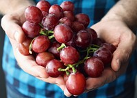 Closeup on hand holding red grapes. Free public domain CC0 photo.