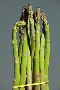 Asparagus vegetable. Free public domain CC0 photo