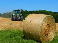 Hay rolls. Free public domain CC0 image.