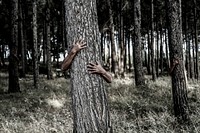 Tree hugger in forest. Free public domain CC0 photo.