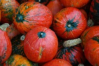 Closeup on pile of pumpkins. Free public domain CC0 photo.