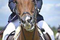 Rider & horse at show jumping competition. Free public domain CC0 photo.