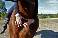 Girl hugging horse. Free public domain CC0 photo.