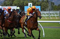 Professional jockeys riding in a race, location unknown, June 30, 2014. View public domain image source here