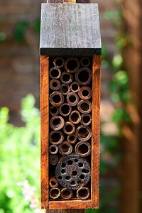 Bamboo box. Free public domain CC0 photo