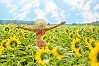 Free sunflower farm background image, public domain flower CC0 photo.