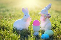 Easter eggs & bunny. Free public domain CC0 photo.