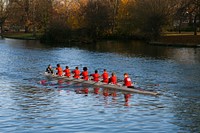 Rowing team practicing. Free public domain CC0 photo.