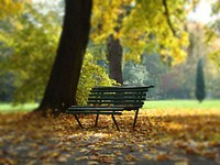 Park bench. Free public domain CC0 photo