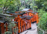 Fushimi inari in Japan. Free public domain CC0 photo.