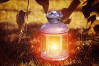 Lantern light on grass. Free public domain CC0 photo.