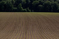 Agricultural farm land. Free public domain CC0 photo