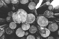 Wood lumber in black and white. Free public domain CC0 photo.