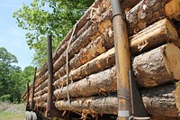 Pile of timber background. Free public domain CC0 photo.