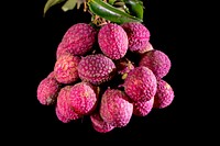 Closeup on lychee fruit on black background. Free public domain CC0 photo.