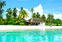 Maldives coconut tree resort view. Free public domain CC0 photo.