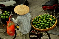 Lime vendor with a bike. Free public domain CC0 photo.