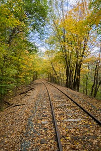 Landscape view of empty railroad with autumn trees