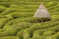 Maze hut. Free public domain CC0 photo.