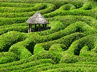 Maze hut. Free public domain CC0 photo.