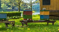 Bee brood boxes. Free public domain CC0 photo.