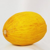 Closeup of fresh Canary melon on white background. Free public domain CC0 photo.