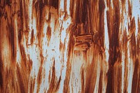 Wood texture background. Free public domain CC0 photo.